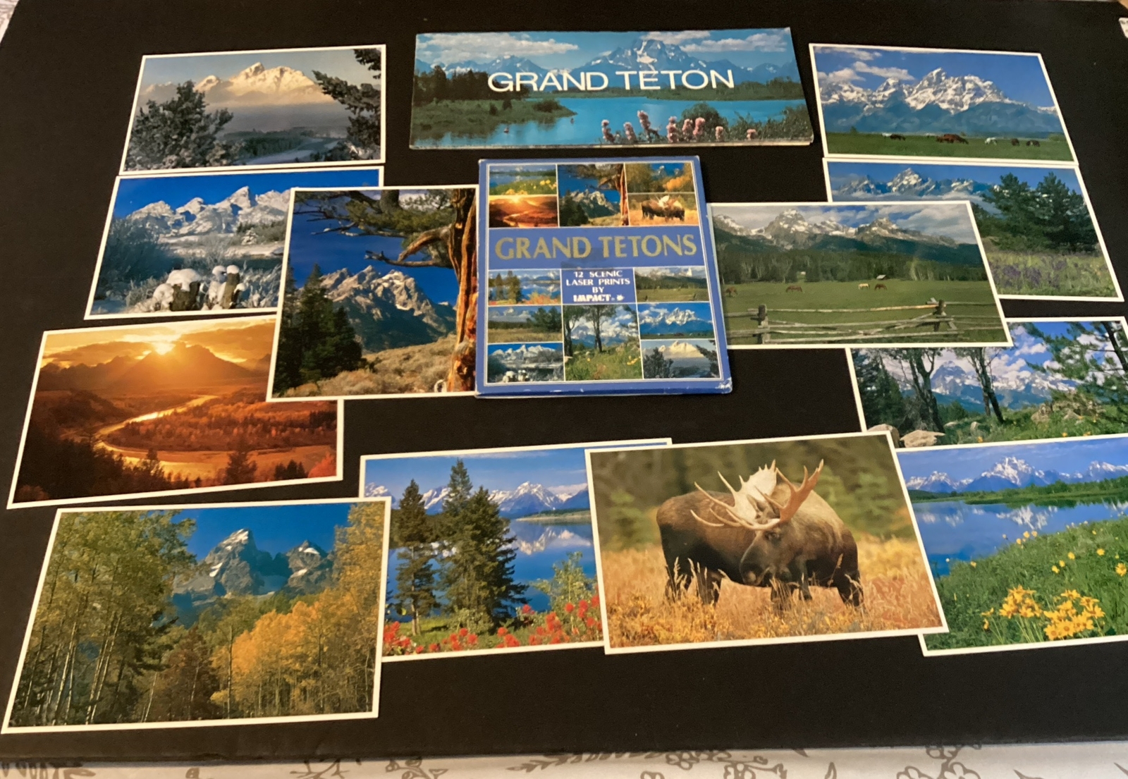Vintage 1976 National Park Service Grand Tetons Tourist Brochure 1984 Post Cards