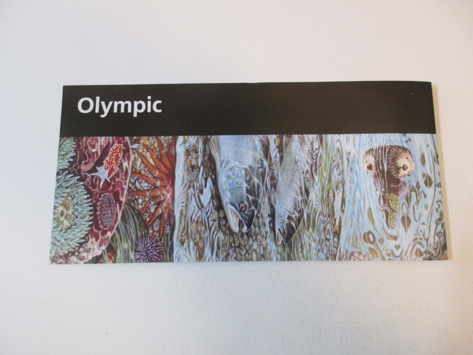 2020 Olympic Washington National Park System Brochure Map Guide~B24