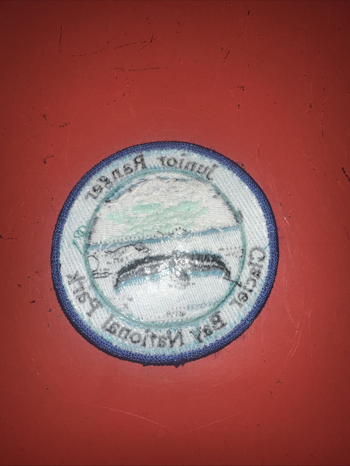 NPS Junior Ranger Patch Glacier Bay National Park Iron On Parks Whale Fluke Blue