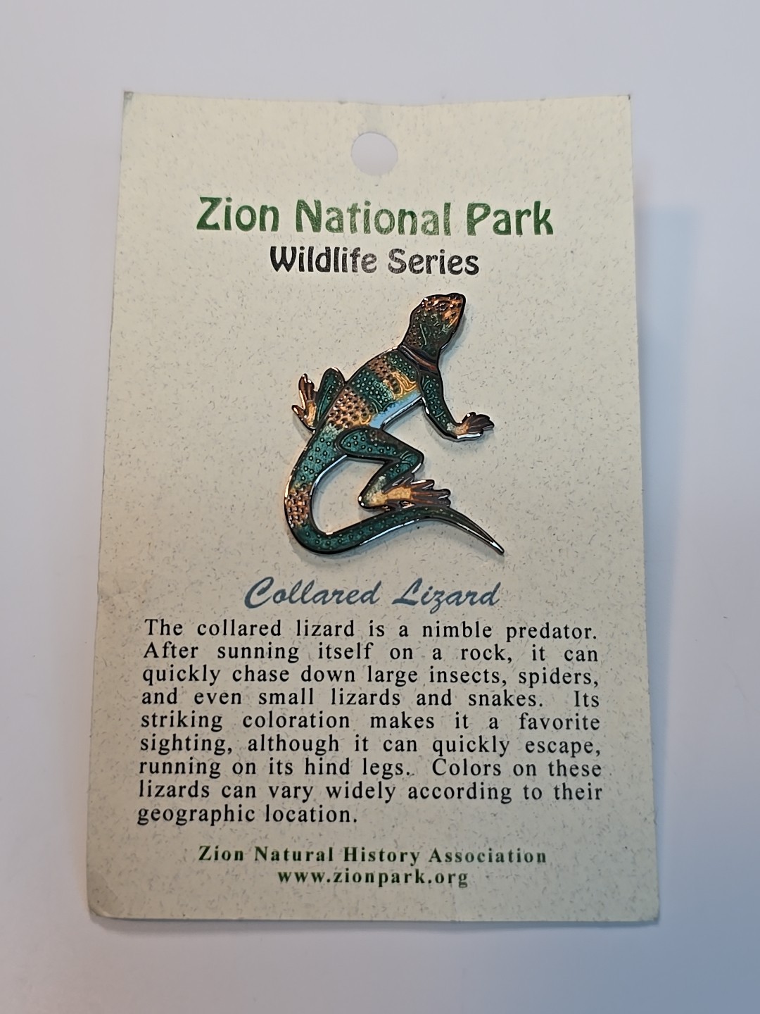 Collared Lizard Souvenir Lapel Pin Zion National Park Wildlife Series Utah
