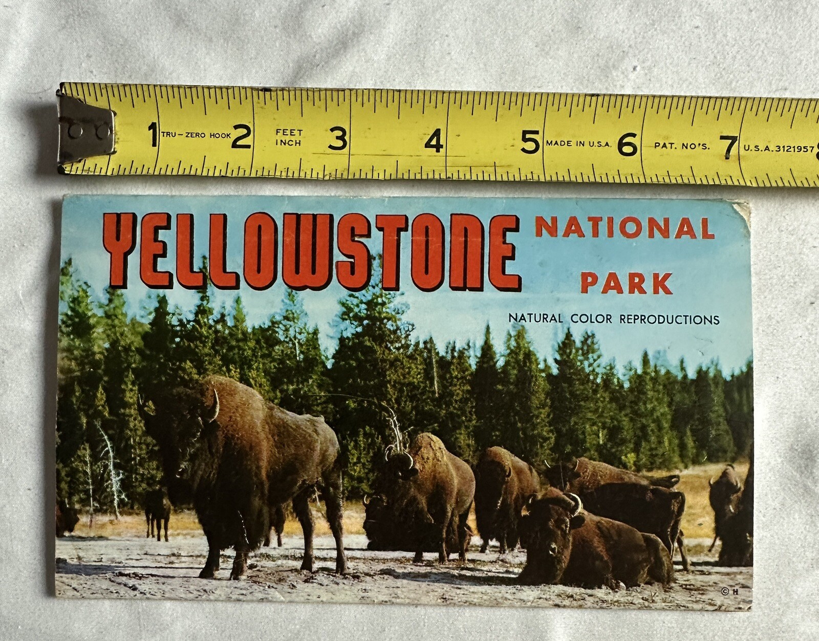 1957 Yellowstone National Park Picturamic Color Photographs With Bio Very Cool