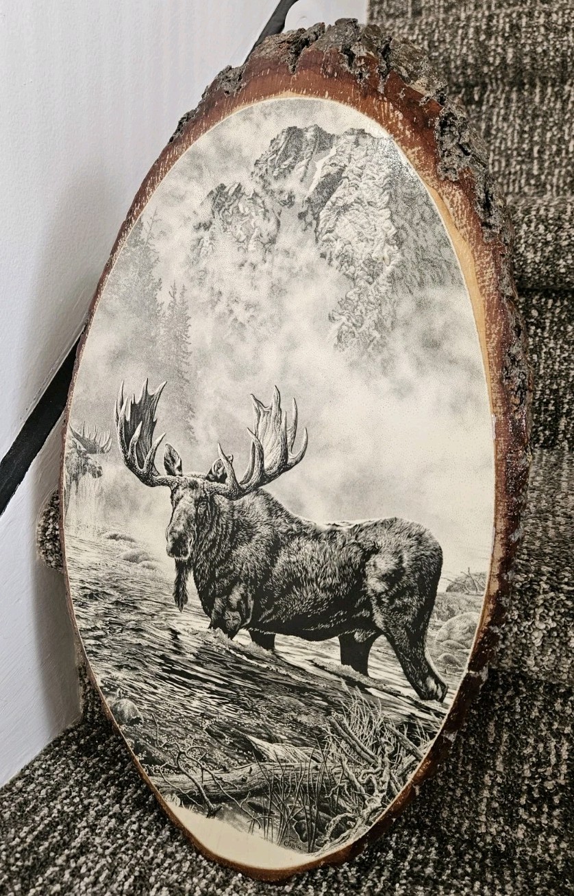 Bull Moose Rustic Wall Plaque Yellowstone National Park Souvenir Vintage 17×10