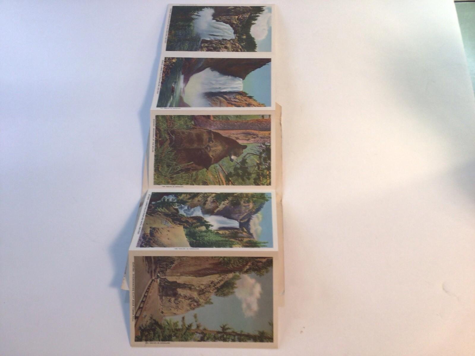 Souvenir Folder Of Postcards From Yellowstone National Park Series “C” 1946
