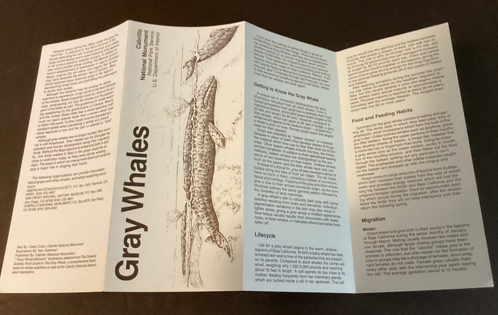 National Park CA Vintage 1981 Cabrillo National Monument/tidepools/gray whales