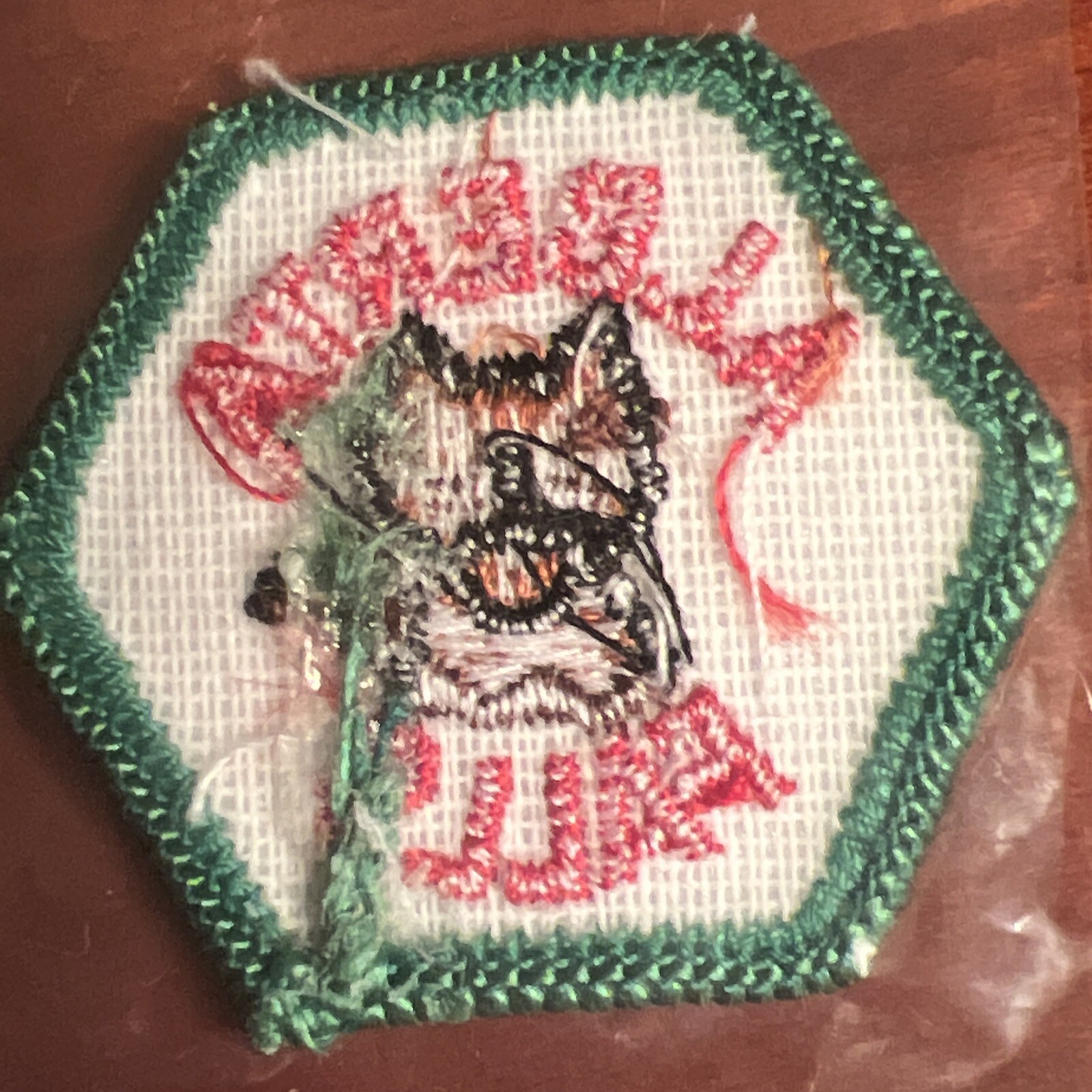 Alberta Falls CO Rocky Mountain National Park Trail Tag 1972 Patch Vintage NOS
