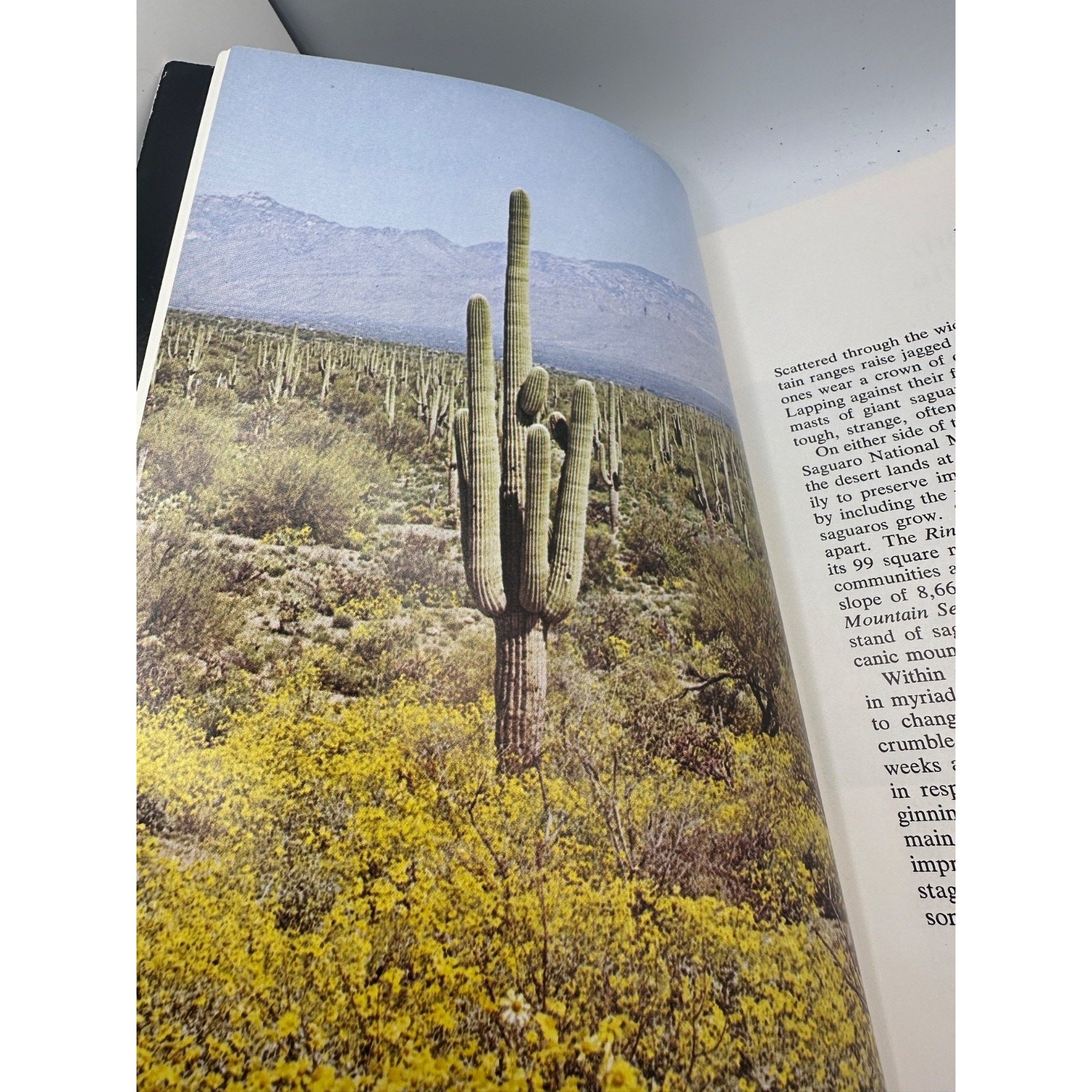 Saguaro National Park Official Handbook 1985 Arizona National Park Service