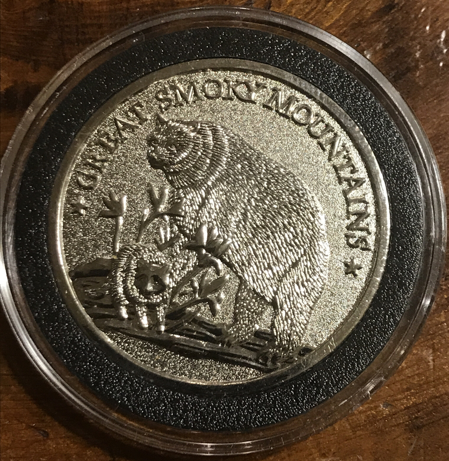 Great Smoky Mountains Tennessee The Volunteer State Collectible Coin (T6)