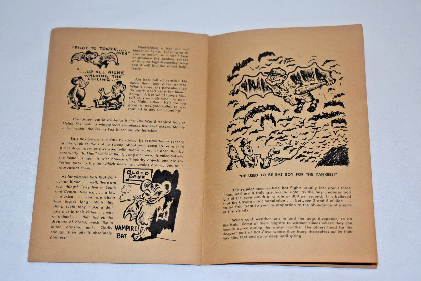 Nobody Here but us Bats by M.J. Davis SC Book Carlsbad Caverns Cartoon Cavalcade