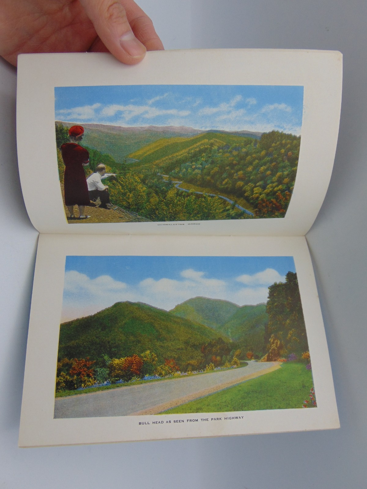 Great smoky mountains national park book vintage Jim Thompson Company 1930’s