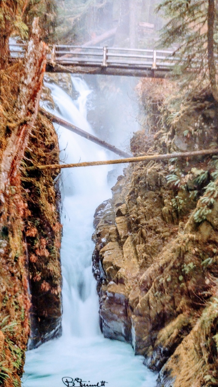 8 X 10 GREETING CARD “SOL DUC FALLS” OLYMPIC NATIONAL PARK WASHINGTON PACIFIC
