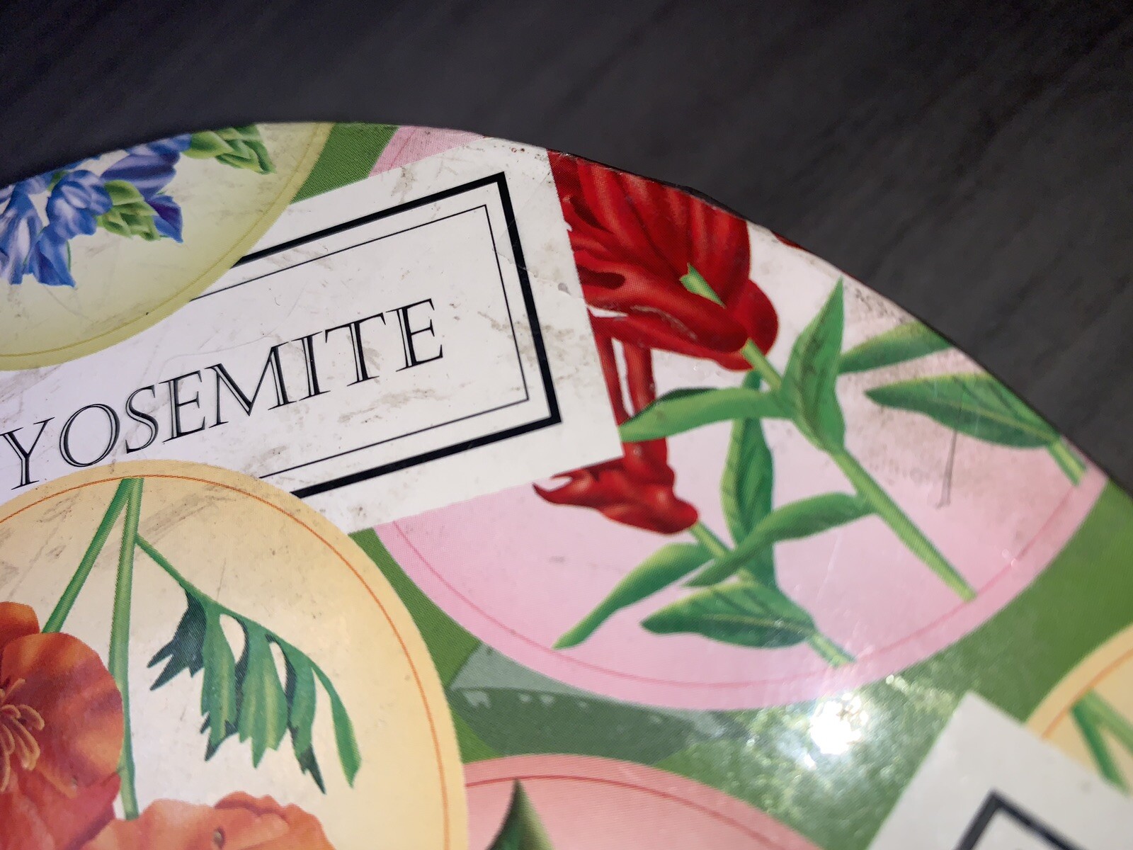 YOSEMITE FLORAL DESSERT PLATES: SET OF 4 YOSEMITE DNC PARKS AND RESORTS 6” NIB
