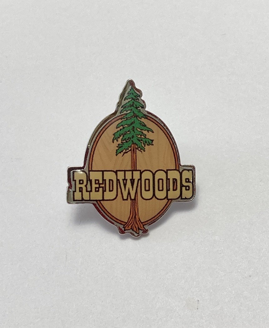 Vintage Redwoods Park California Epoxy Lapel Pin Single Giant Tree Pinback