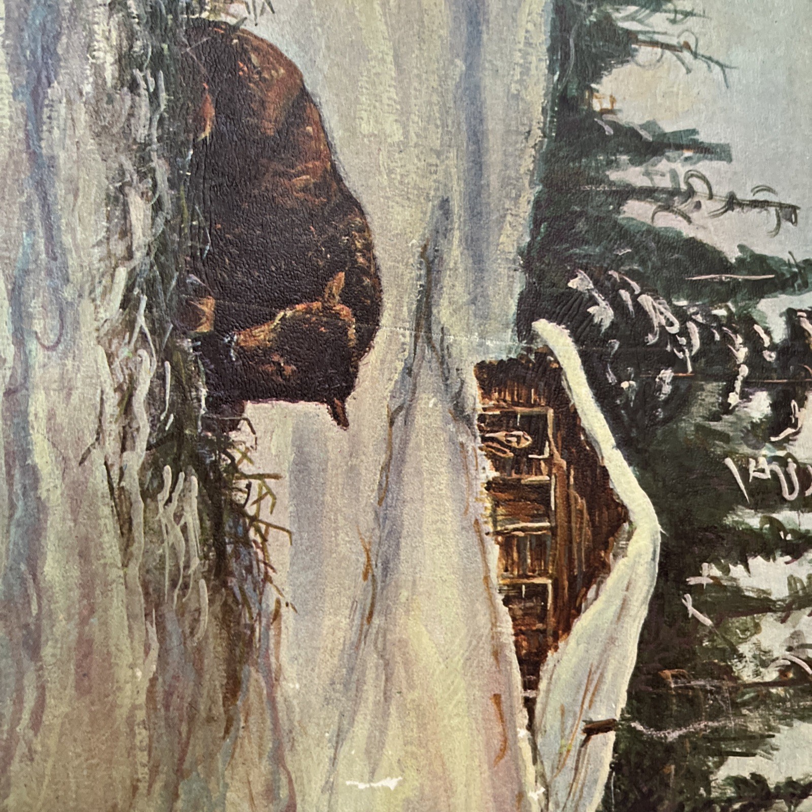 Vintage Yellowstone National Park & Buffalo Bill Cody Country Story Book