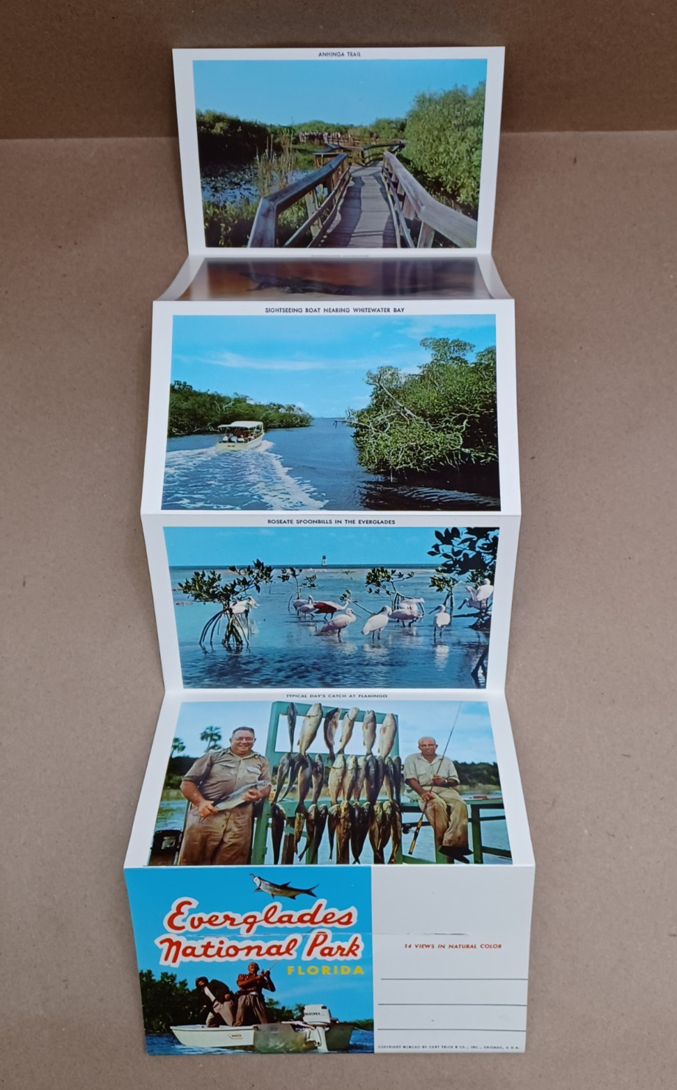 Everglades National Park (14 Views in Color) – Vintage 1962 Souvenir Postcard