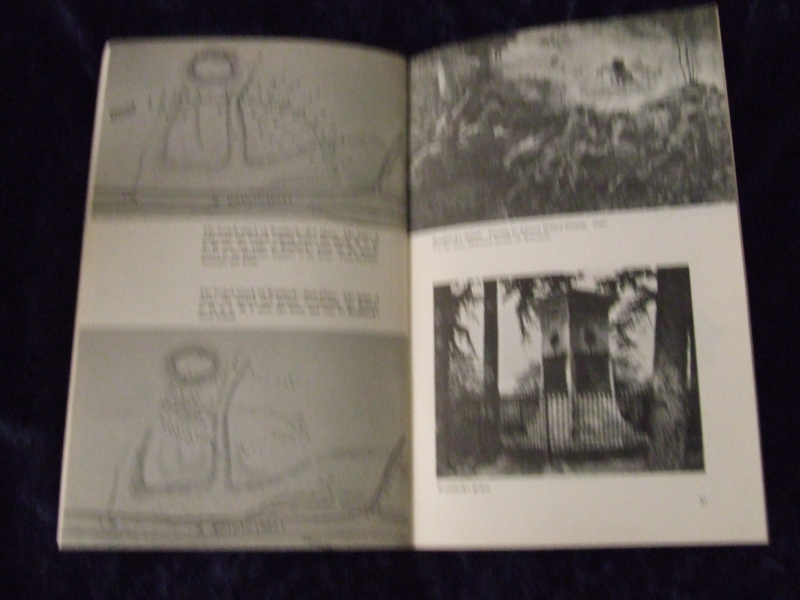 1970 Fort Necessity Site – National Park History Book Series