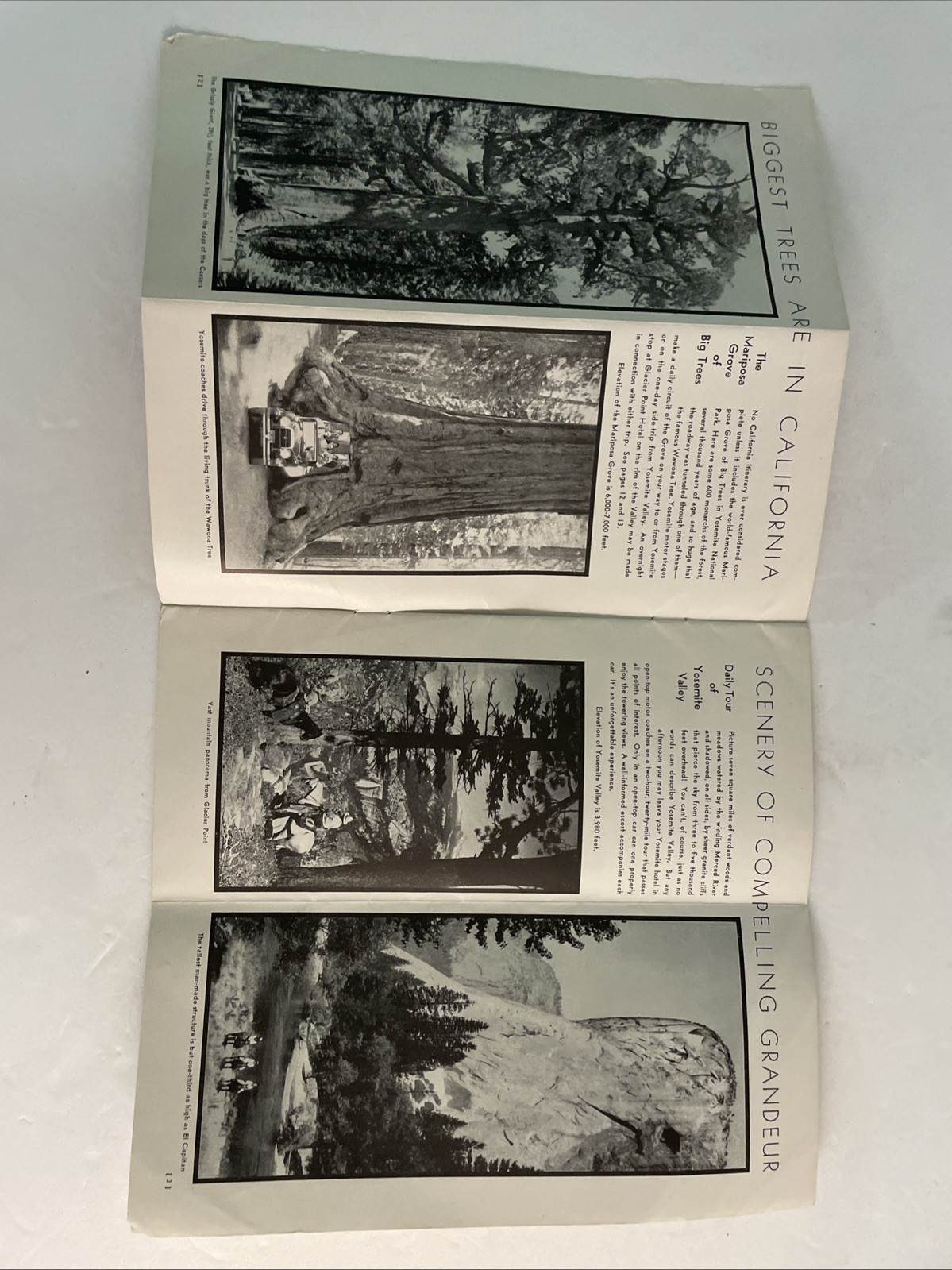 1930’s Yosemite and its Big Trees Park CA Brochure Travel Pamphlet