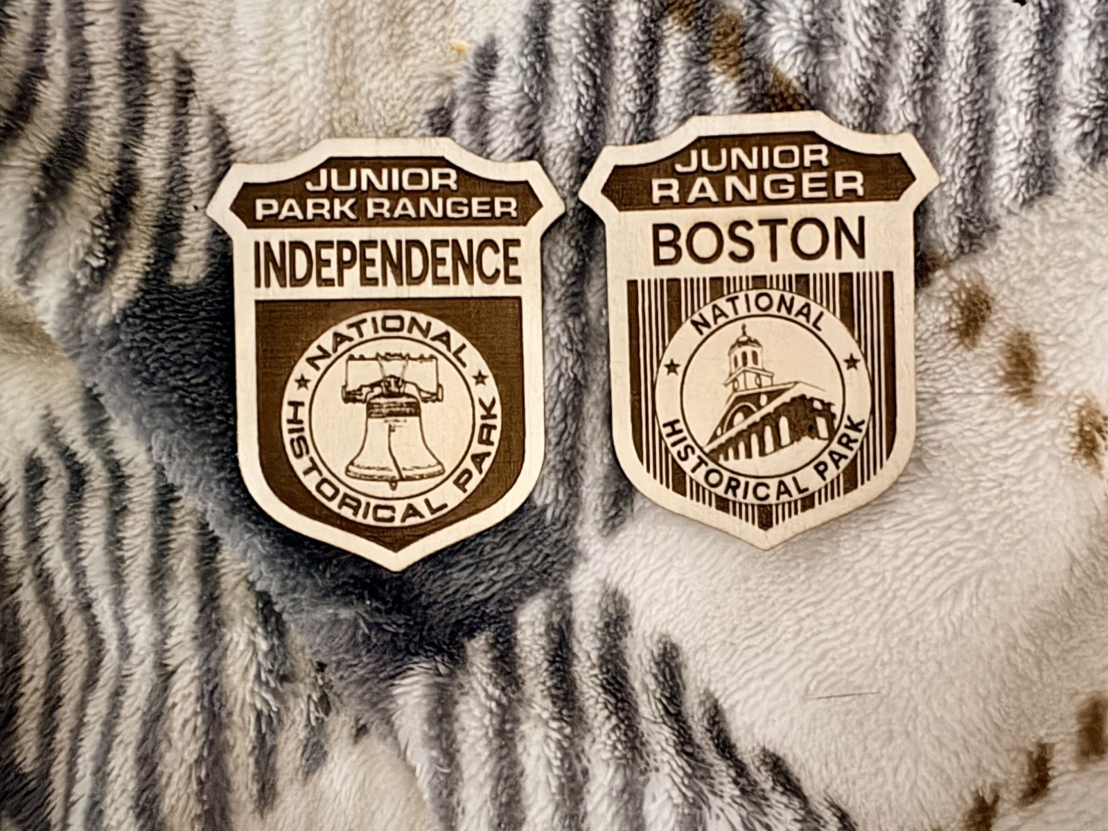 All National Park Service Junior Ranger Badges – Sold Individually