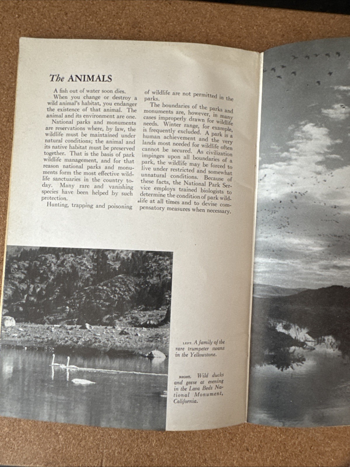 Conservation of Nature Portfolio National Park and Monument System 1938 Part 2