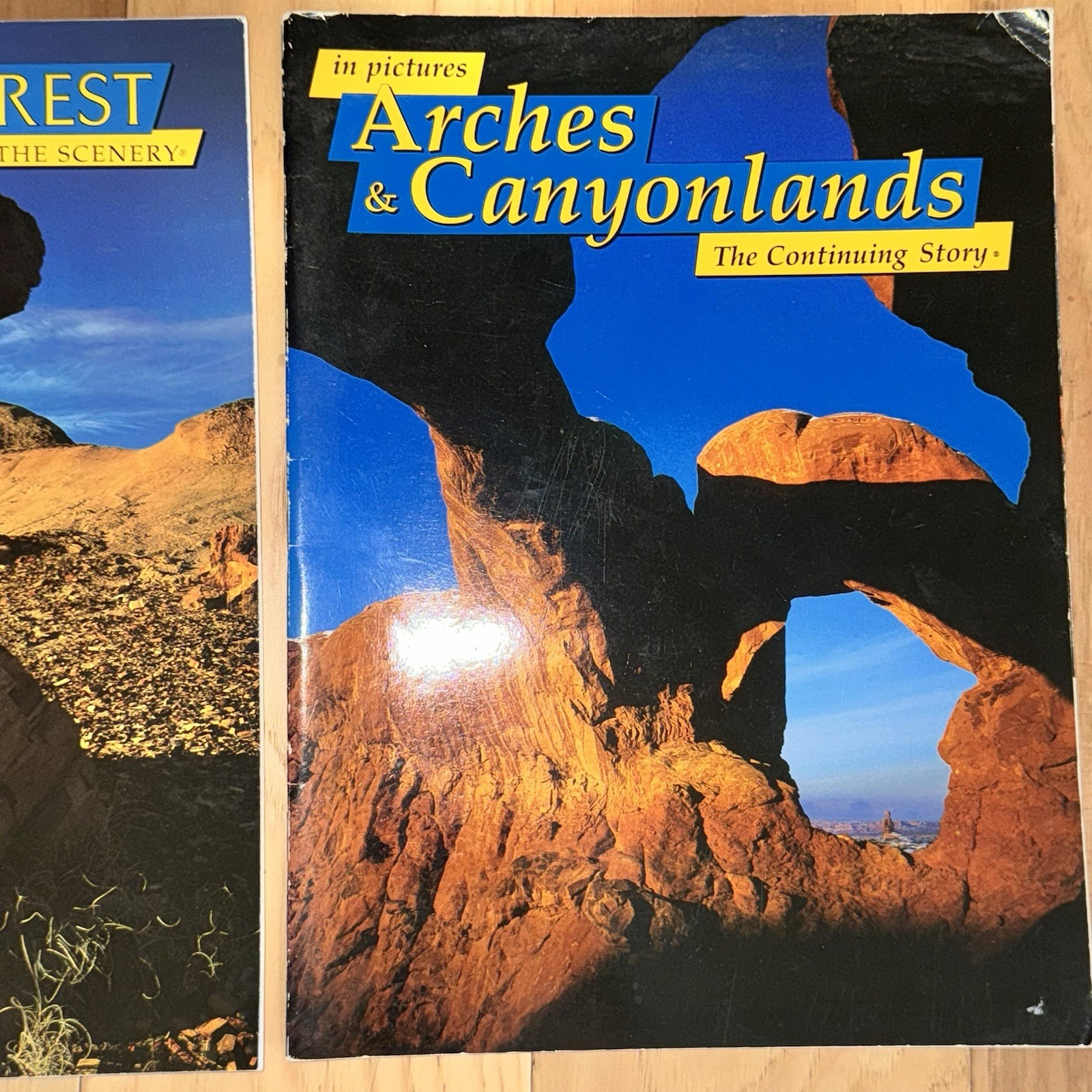 4 National Park Books – Mesa Verde, Arches, Petrified Forest, Natural Bridges