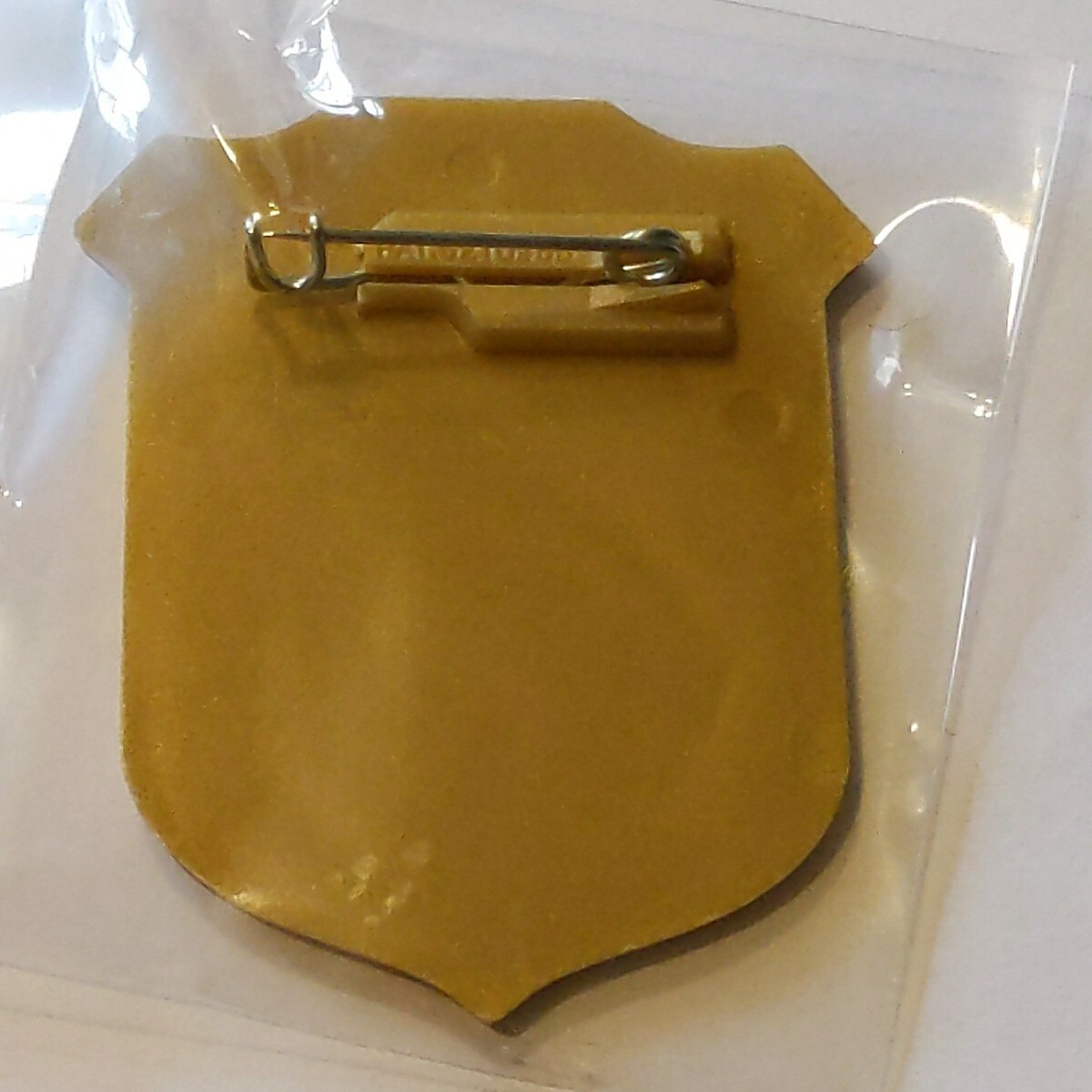 CONGAREE NATIONAL PARK Junior Jr National Park Ranger Plastic Souvenir Badge Pin