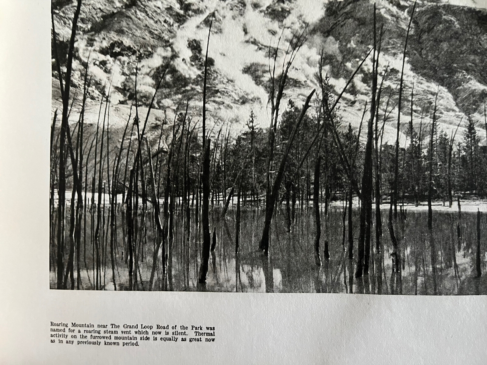 Vintage 1940 Hayne ‘ s Souvenir Album Yellowstone National Park B&W Photo Album