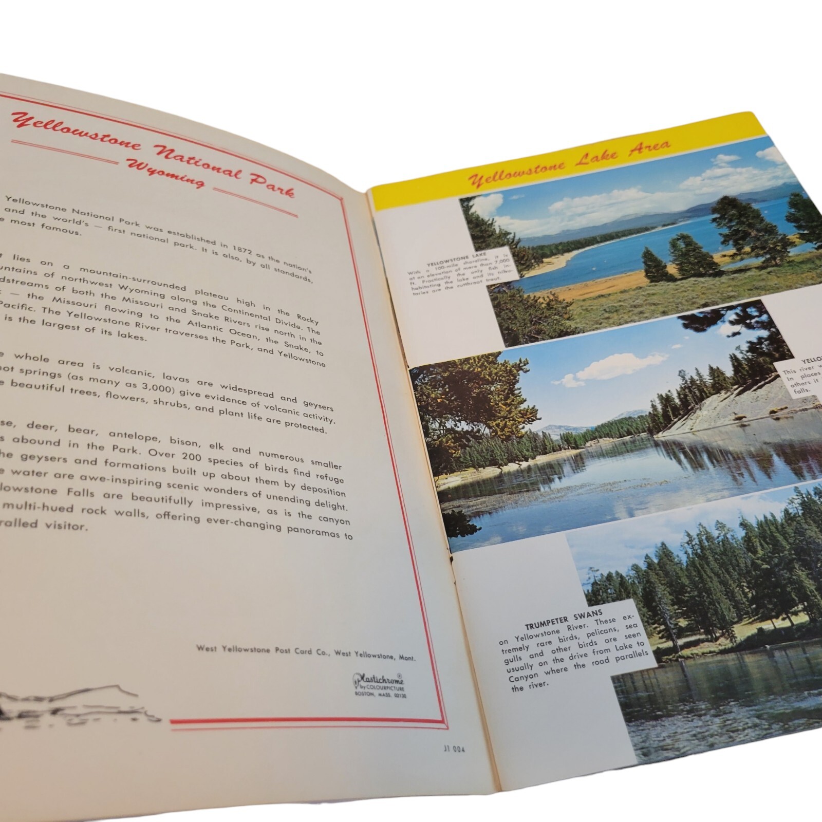 Vtg 60’s Yellowstone National Park Souvenir Photo Book Plastichrome Wyoming Mtns