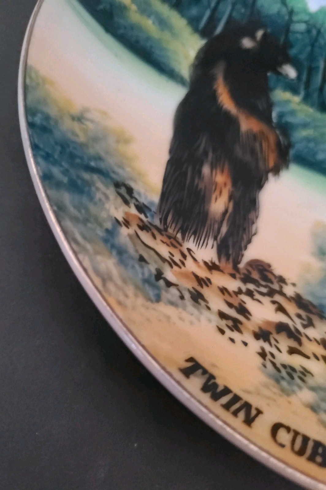 Vintage EARLY YELLOWSTONE NATIONAL PARK SOUVENIR 8″ Wall Plate Twin Bear Cubs