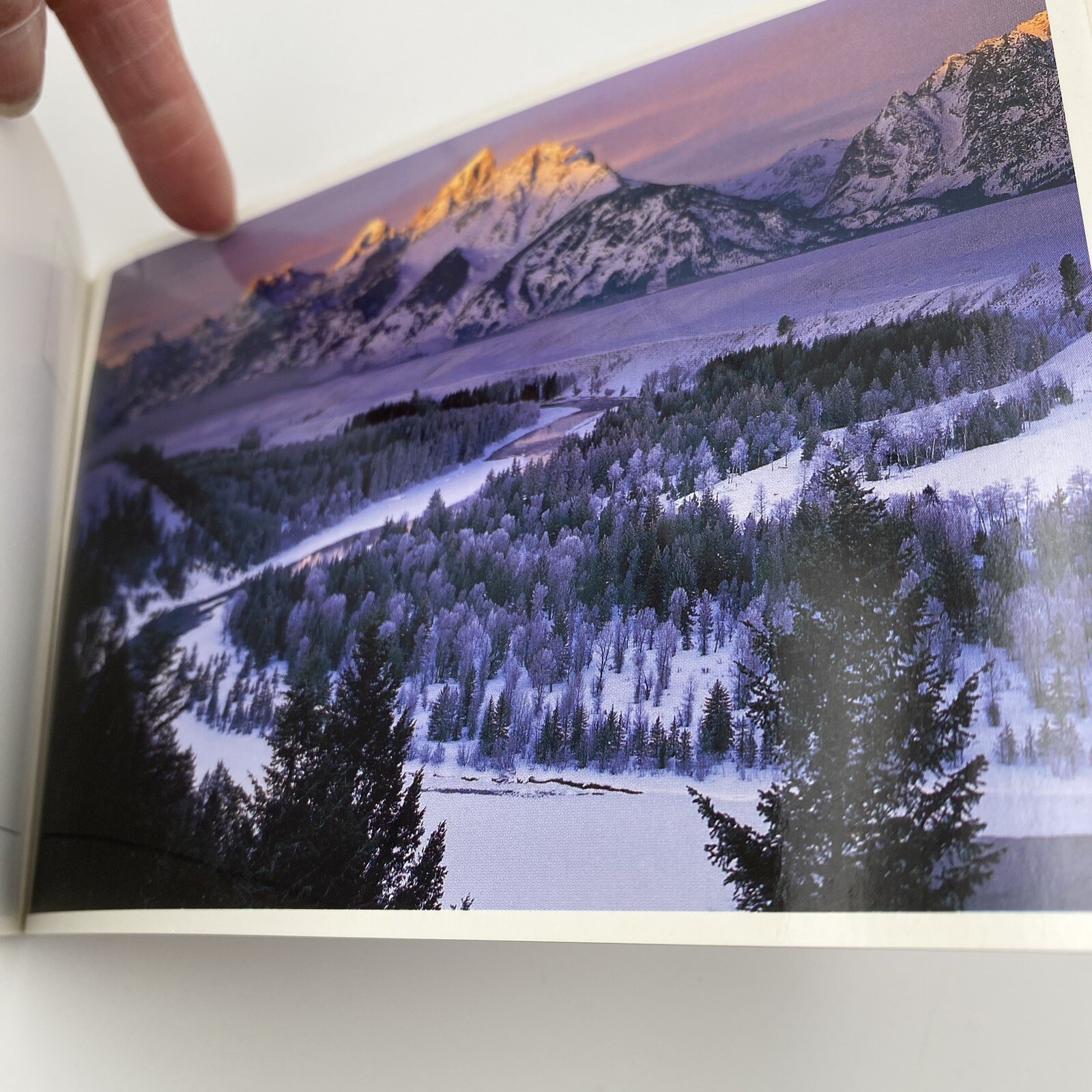 YellowStone National Park & Grand Teton National Park Book of 33 Postcards