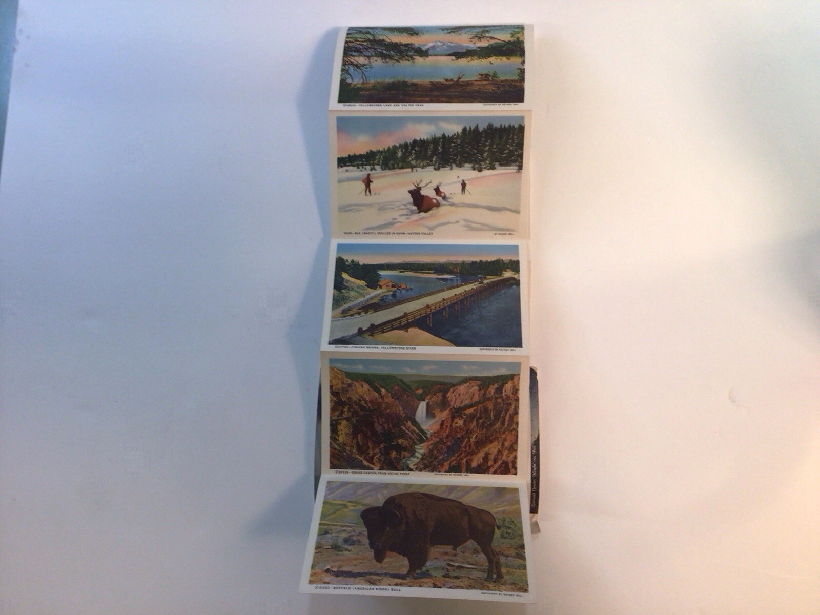 Souvenir Folder Of Postcards From Yellowstone National Park Series “C” 1946