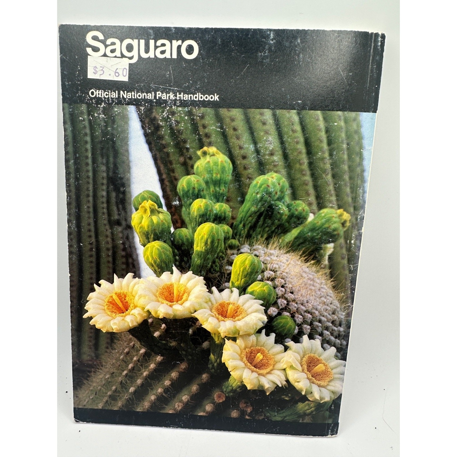 Saguaro National Park Official Handbook 1985 Arizona National Park Service