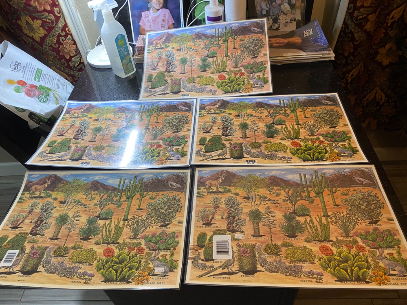 lot of 4 Grand Canyon Painted desert Petrified forest National Parks table mats