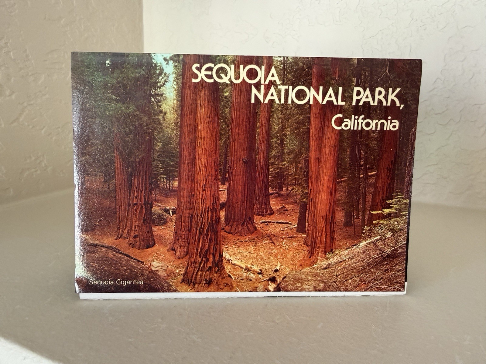 Vintage Sequoia National Park Accordion Pamphlet Photography By David Muench 85’