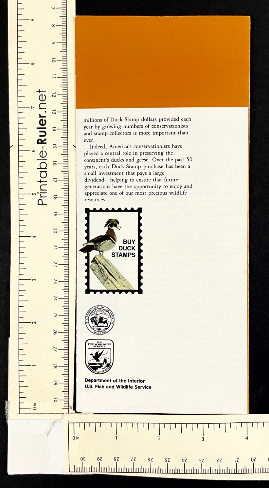 1980s Duck Stamp Story Wetlands Wildlife Rescue Vintage Interior Dept Brochure