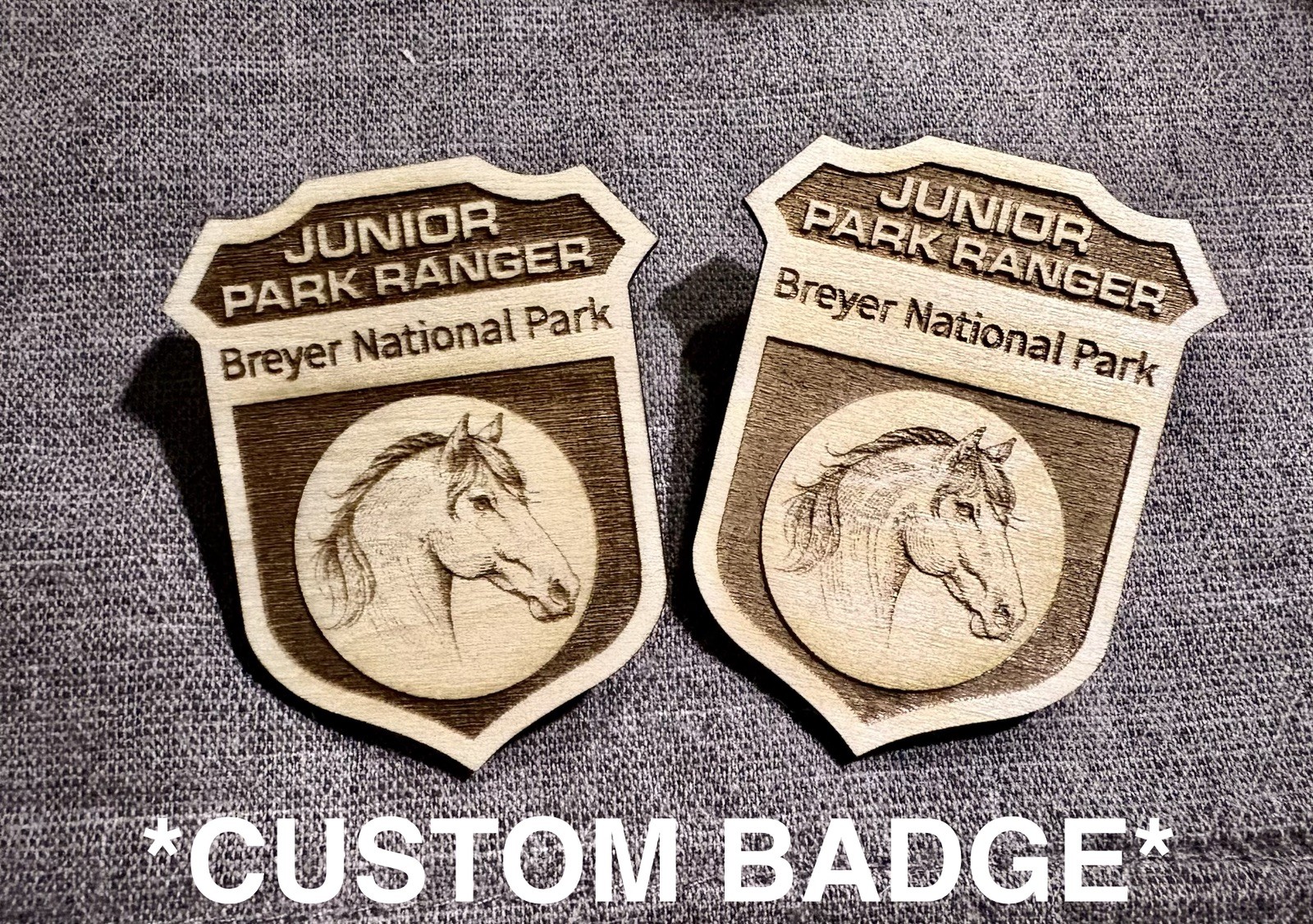 All National Park Service Junior Ranger Badges – Sold Individually