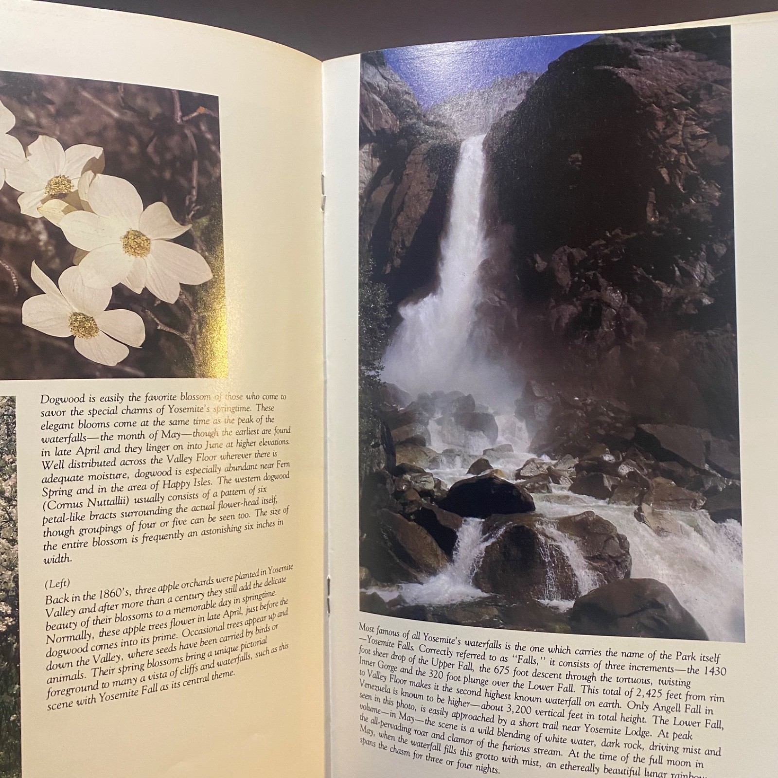 The Four Seasons of Yosemite Photos and Text by Dana Morgenson 1978