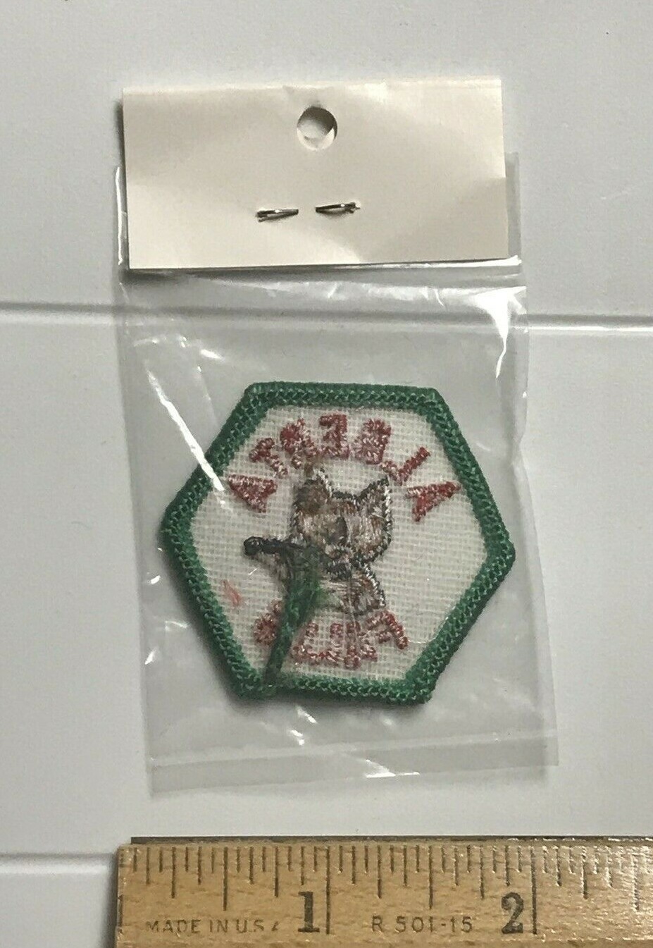 NIP Alberta Falls Rocky Mountain National Park Trail Tag Embroidered Patch Badge