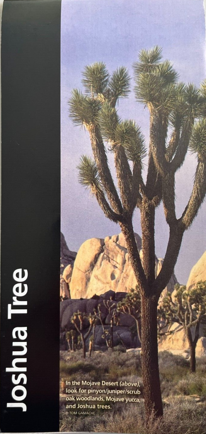 New JOSHUA TREE NP – CA NATIONAL PARK SERVICE UNIGRID BROCHURE/MAP GPO 2024