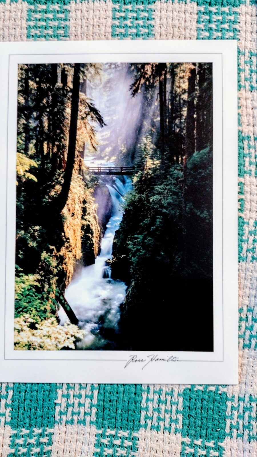 5 x 7 BEAUTIFUL POST CARD SOL DUC FALLS OLYMPIC NATIONAL PARK WA
