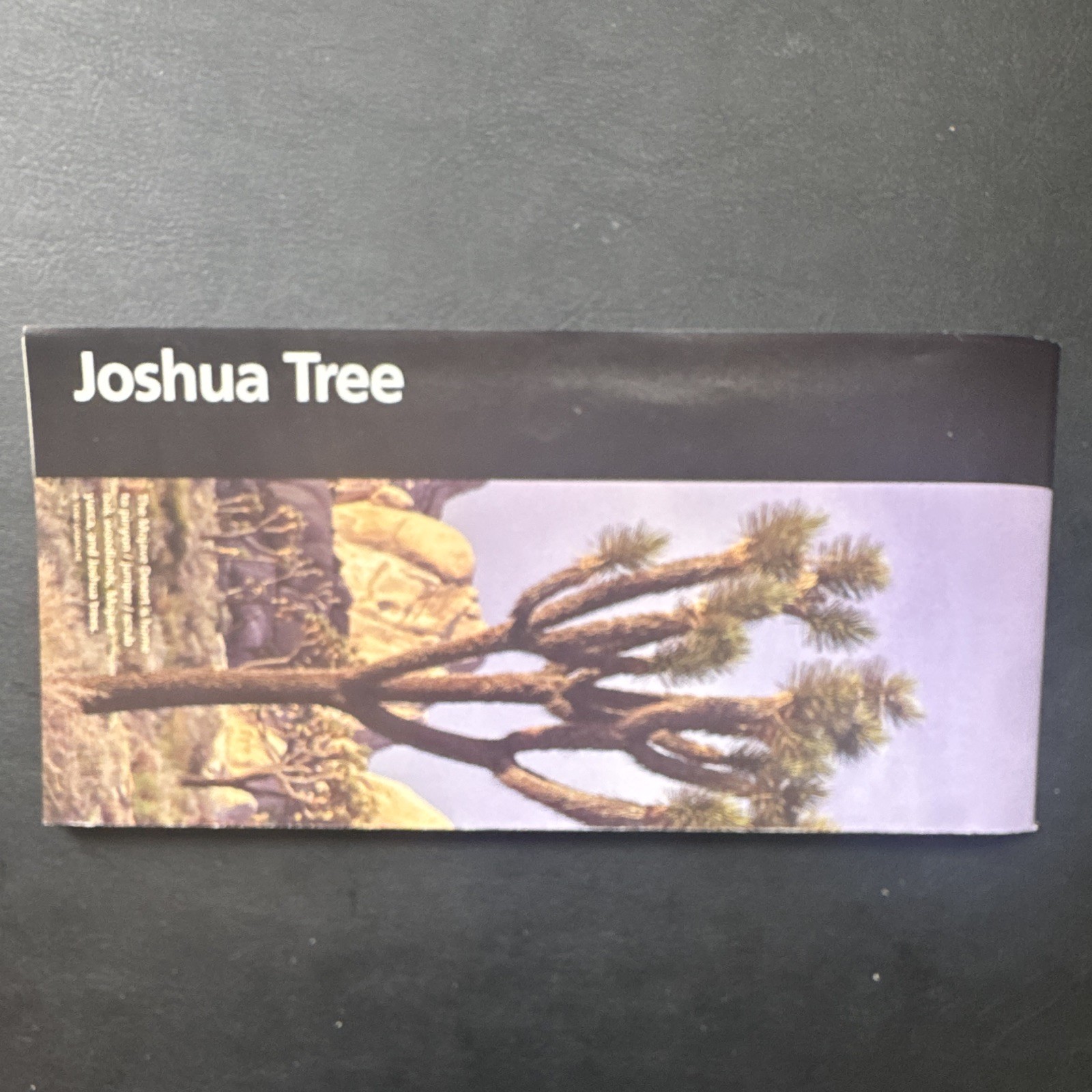 Joshua Tree National Park Map