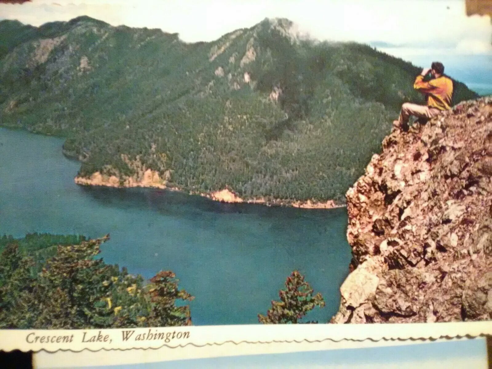 VINTAGE POST CARD AERIAL VIEW CRESCENT LAKE WASHINGTON