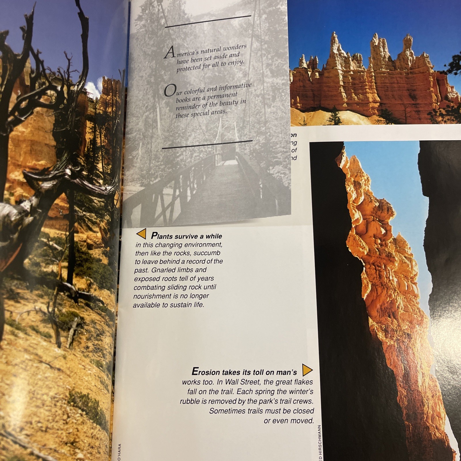 Bryce Canyon & Grand Canyon National Park Photo Books Travel Nature Lot 2