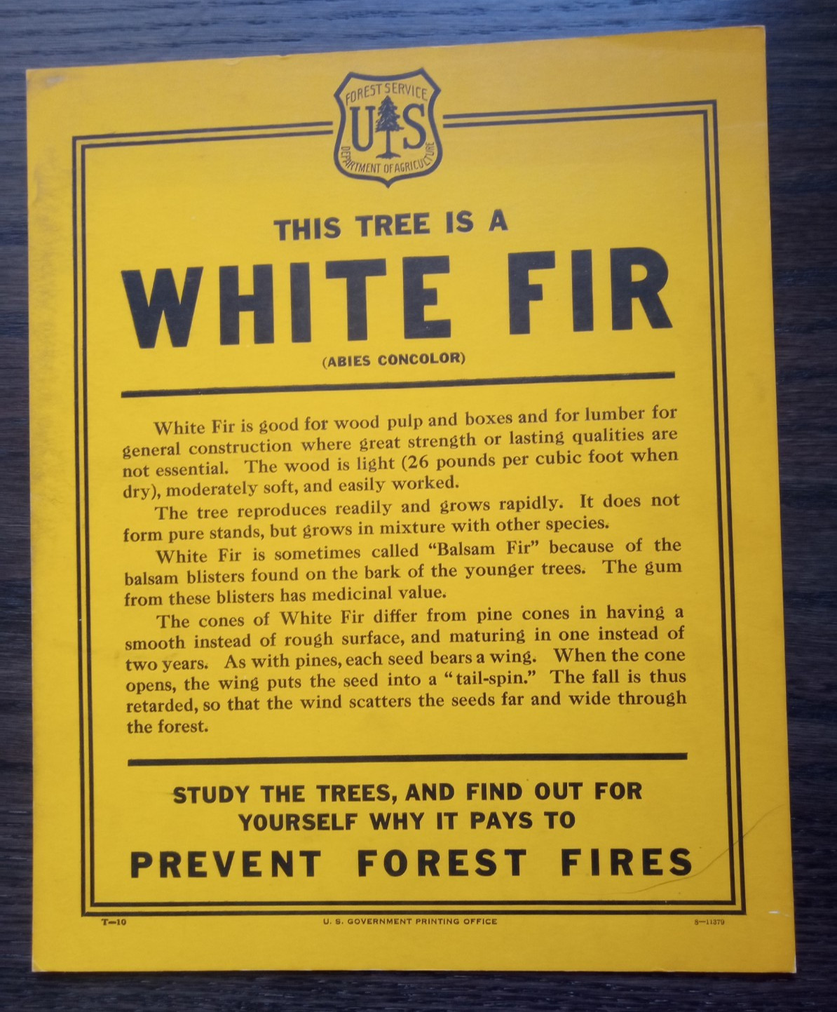 Vintage National Forest Service Paper Sign “White Fir” USFS tree description