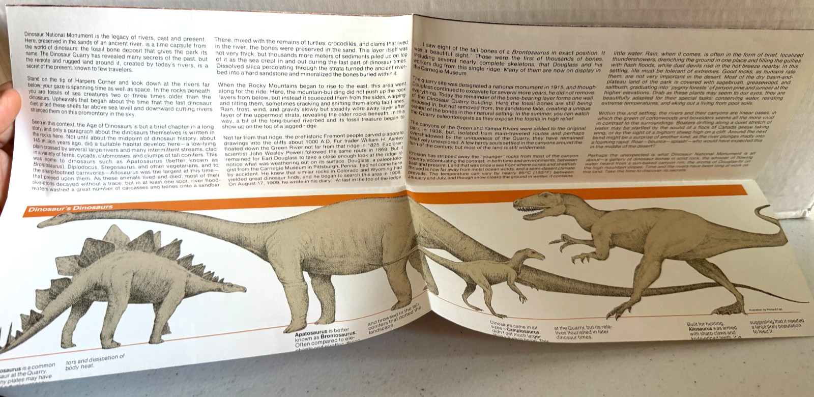 Vintage Dinosaur National Park Official Map and Guide US Dept of Interior!