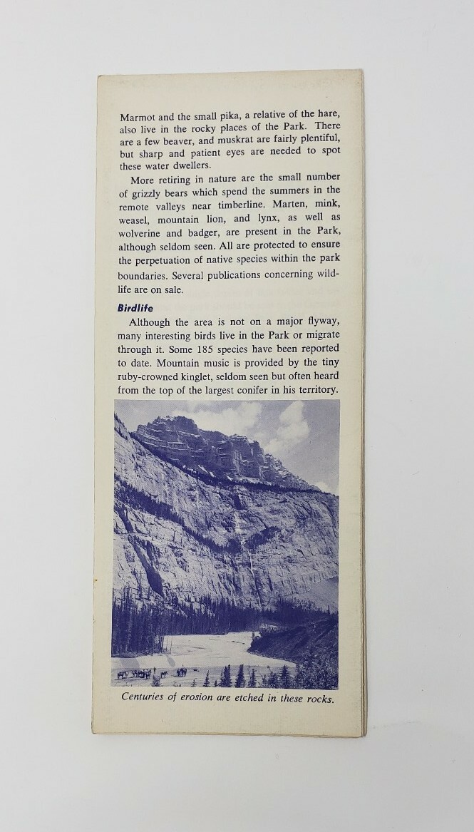 1966 Banff National Park Vintage Brochure – Alberta Canada