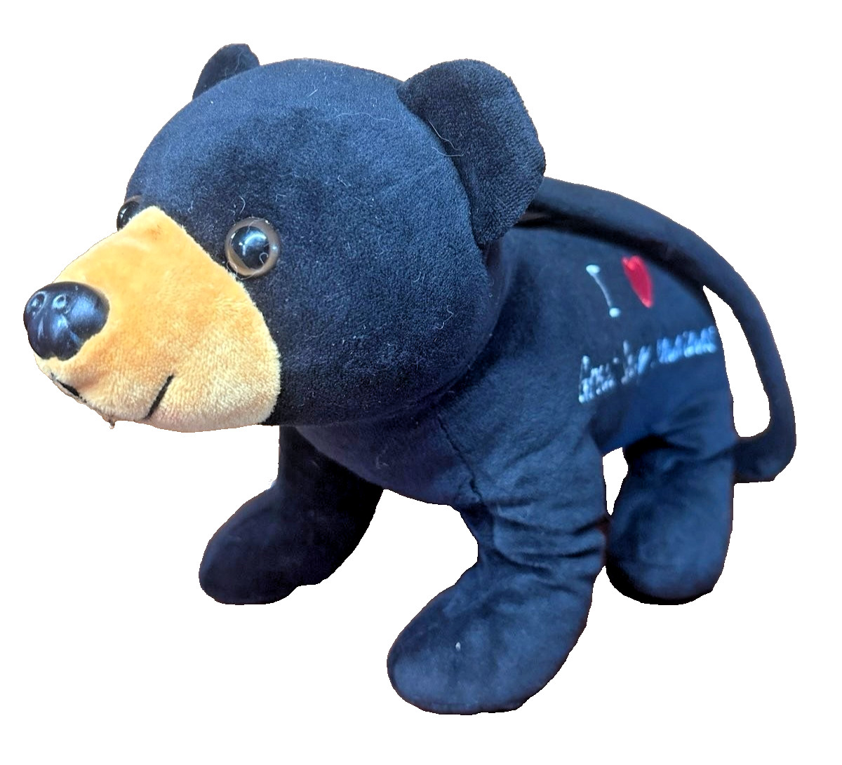 Great Smoky Mountains National Park Plush Bear Backpack Souvenir Kids Travel