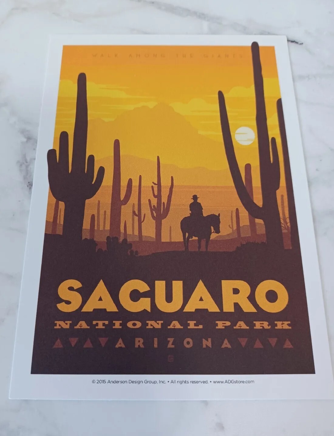 Saguaro National Parks 100th Anniversary Illustrated Print Post Card