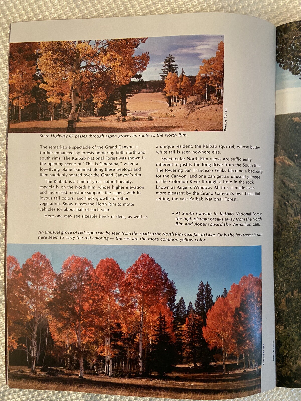 Grand Canyon Country by Carlos Elmer 1979 Scenic Photography Brochure soft cover