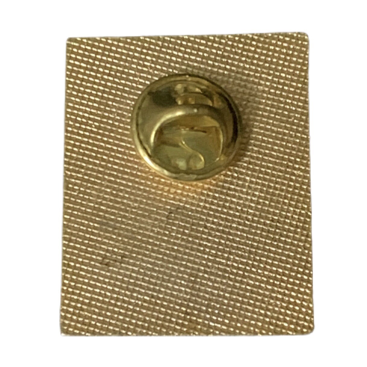 Vintage Mesa Verde National Park Preserving Our Past Travel Souvenir Pin