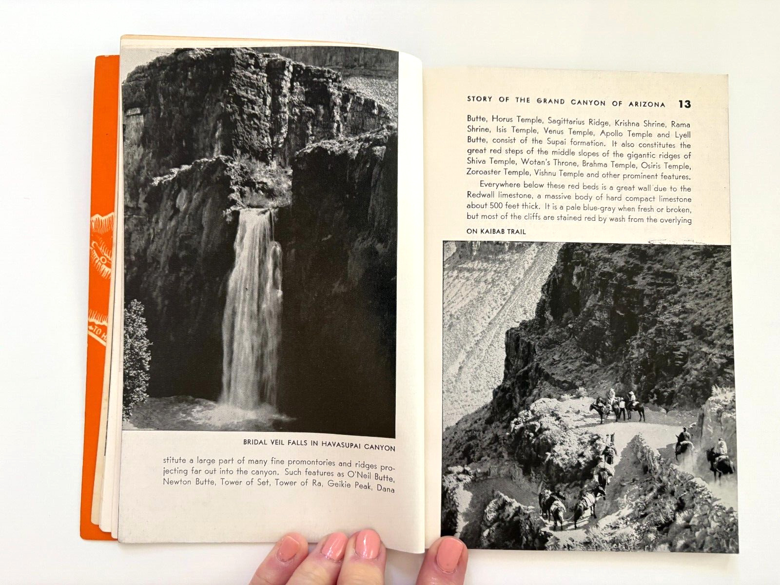 1956 Paperback Book “Story of the Grand Canyon” by U.S. Geological Survey *