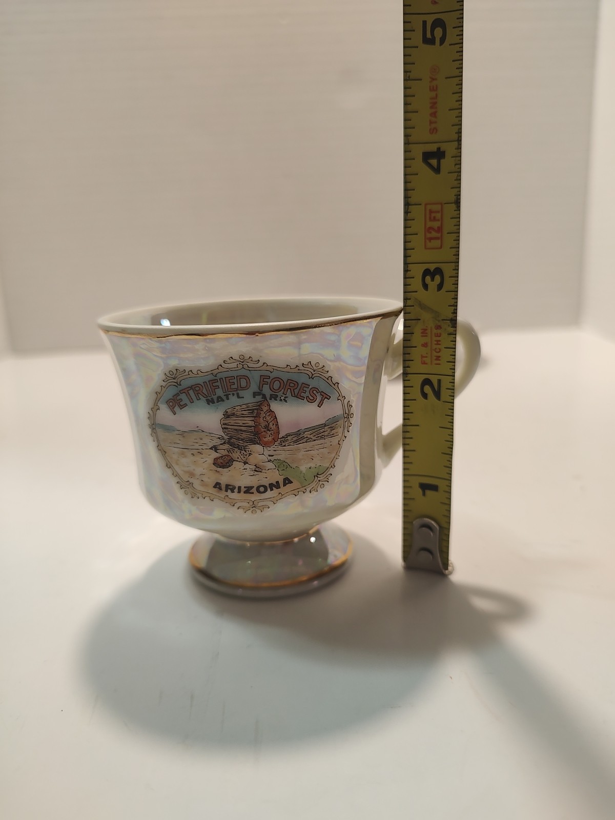 🔥 Vintage Petrified Forest Nat’l Park Souvenir Teacup & Saucer Pearlescent